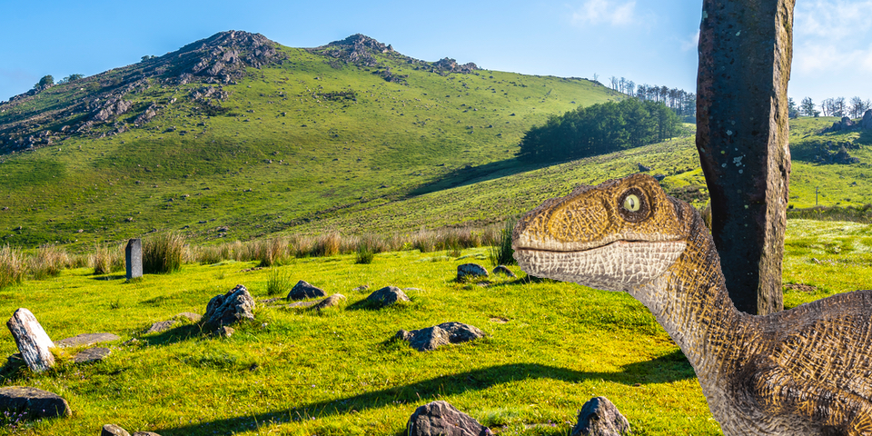 Opal Formation dinosaur