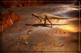 dinosaur_stampede_at_lark_quarry_near_winton.jpg