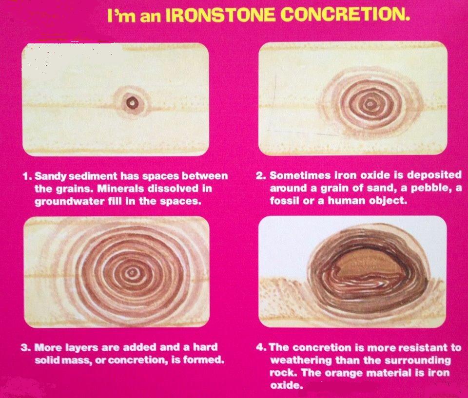 im_an_Ironstone_concretion