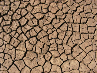 mud_cracks_in_desert_landscape.jpg