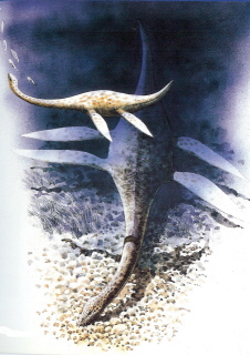 plesiosaur2.jpg