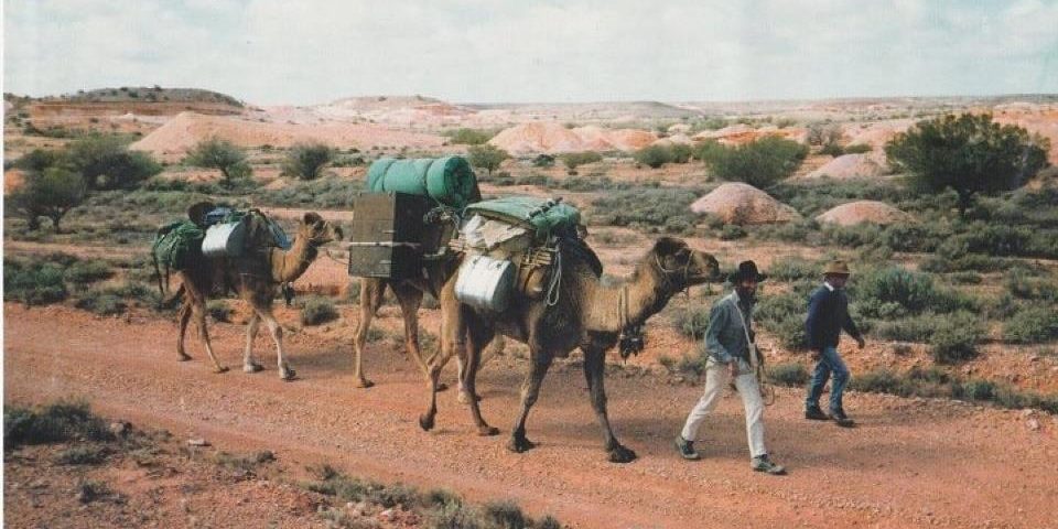 Camel-train-through-opal-country